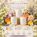 Citrus & Floral Collection